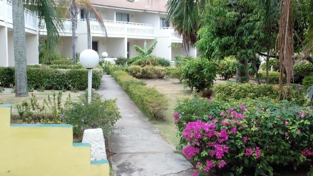 Club Ambiance (Adults Only) Hotell Runaway Bay Exteriör bild